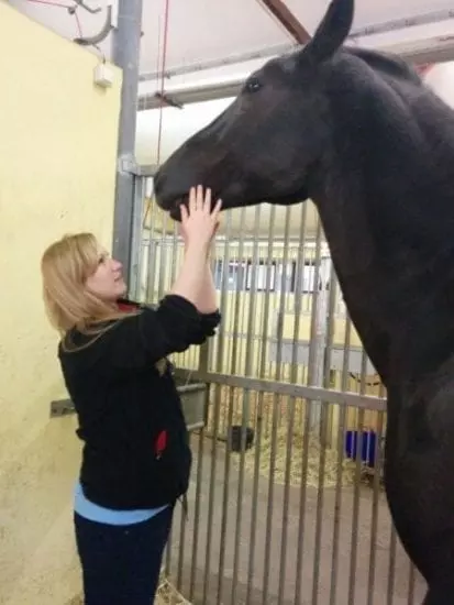 דר ורד הראל מטפלת בסוס - הפקולטה ללימודי וטרינריה בחו"ל